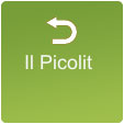Picolit